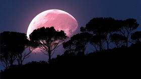 Fazele lunii în aprilie 2024: Pregătește-te pentru Luna Plină și Luna Nouă!